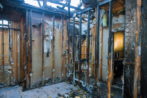 Professional Fire Damage Removal technician working in Cameron, WI